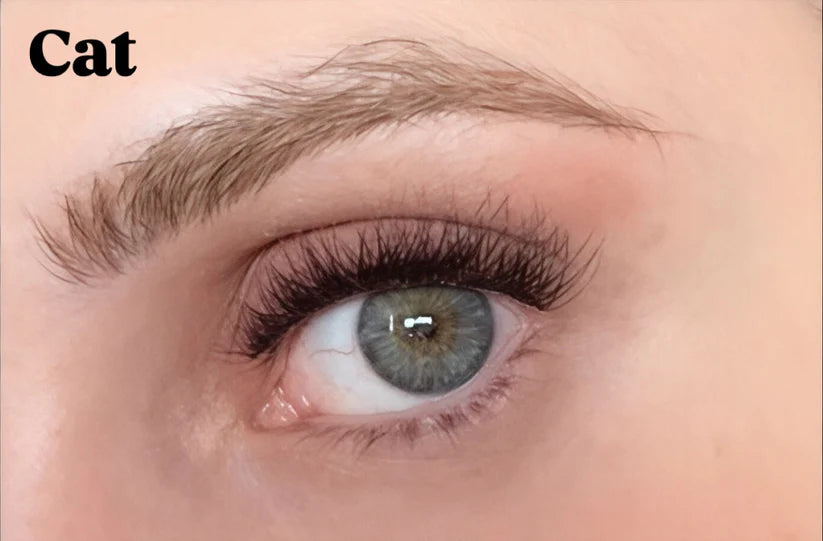 Kirpixa™ Sihirli Kirpikler